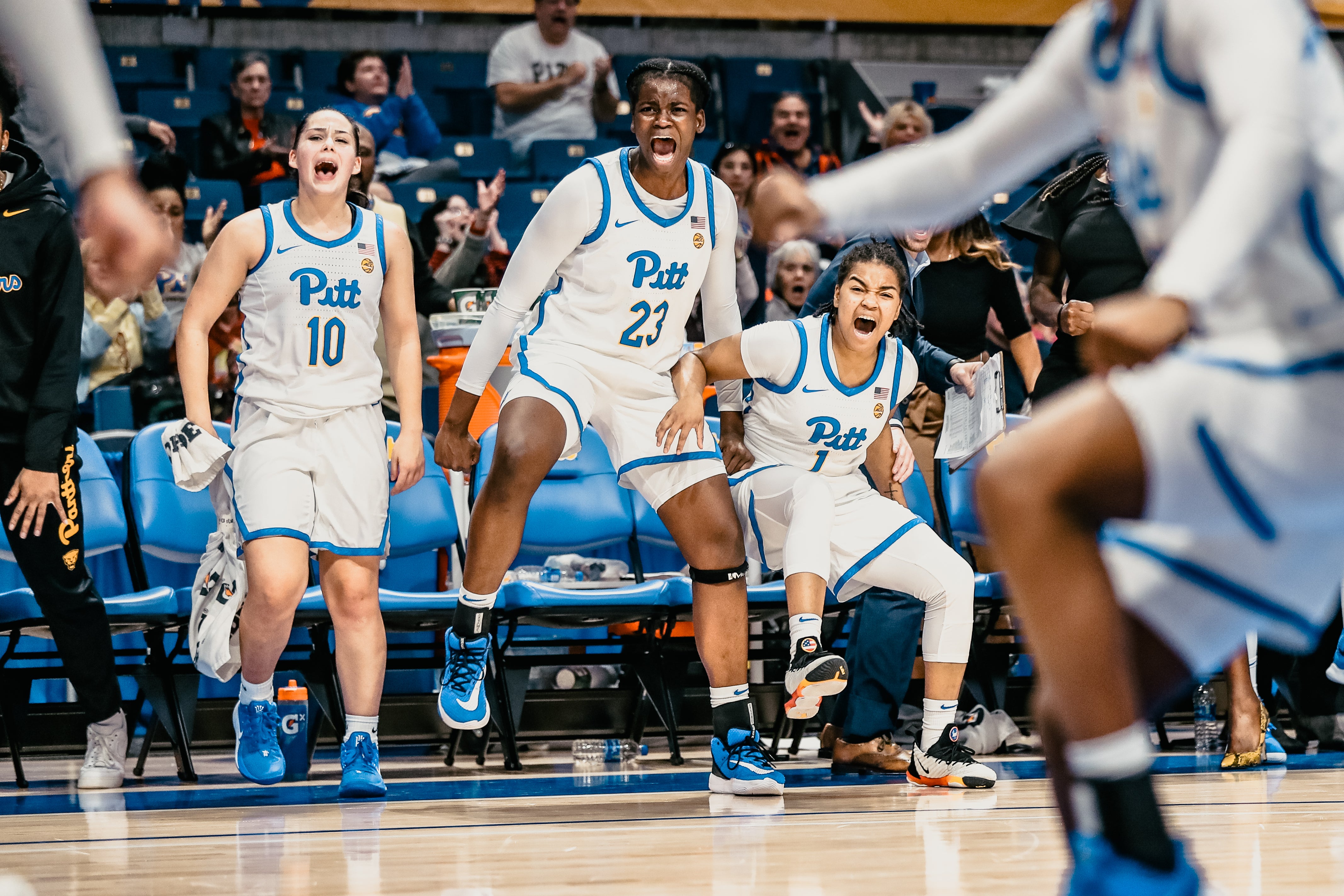 Pitt Women's Basketball vs Hofstra